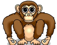 Monkey