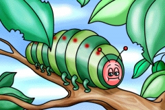 Caterpiller_2
